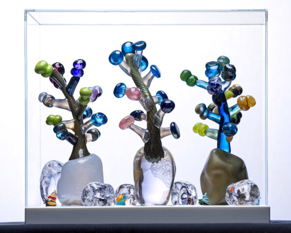 Teemu Kylvö Future Forest 2/12