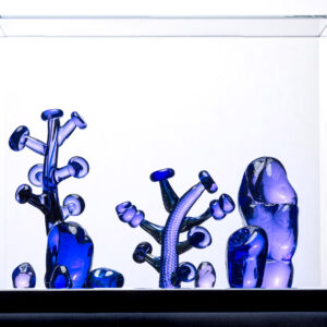 Teemu Kylvö Future Forest 3/12