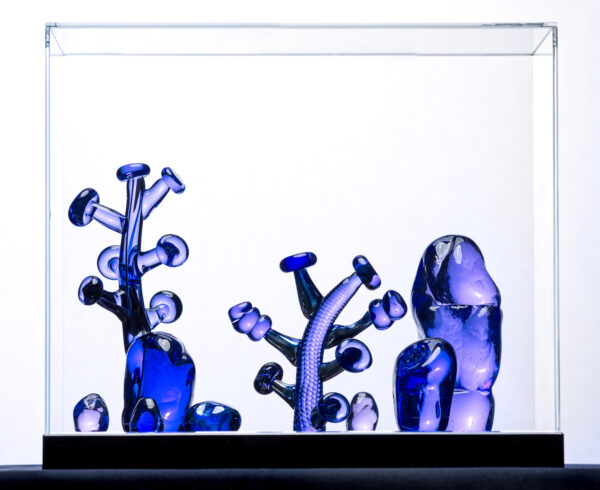 Teemu Kylvö Future Forest 3/12