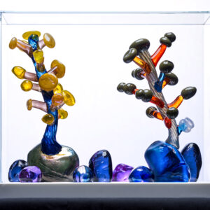 Teemu Kylvö Future Forest 4/12