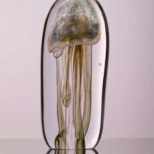 Lapland Meduusa 24K